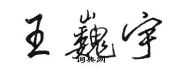 骆恒光王巍宇行书个性签名怎么写