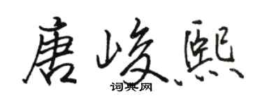 骆恒光唐峻熙行书个性签名怎么写