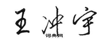 骆恒光王冲宇行书个性签名怎么写