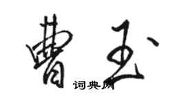 骆恒光曹玉行书个性签名怎么写