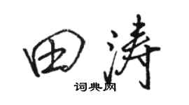 骆恒光田涛行书个性签名怎么写
