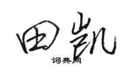 骆恒光田凯行书个性签名怎么写