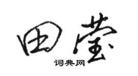 骆恒光田莹行书个性签名怎么写