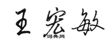 骆恒光王宏敏行书个性签名怎么写