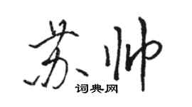 骆恒光苏帅行书个性签名怎么写