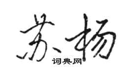 骆恒光苏杨行书个性签名怎么写