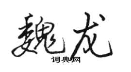 骆恒光魏龙行书个性签名怎么写