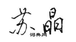 骆恒光苏晶行书个性签名怎么写