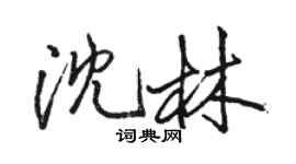 骆恒光沈林行书个性签名怎么写