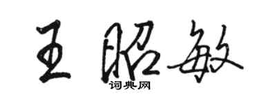 骆恒光王昭敏行书个性签名怎么写