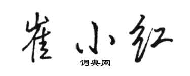 骆恒光崔小红行书个性签名怎么写