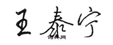 骆恒光王泰宁行书个性签名怎么写