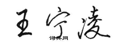 骆恒光王宁凌行书个性签名怎么写
