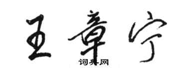 骆恒光王章宁行书个性签名怎么写