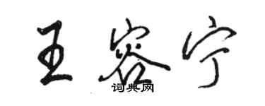 骆恒光王容宁行书个性签名怎么写