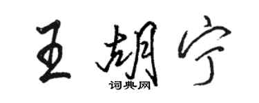 骆恒光王胡宁行书个性签名怎么写