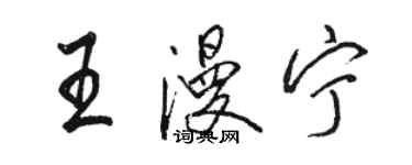 骆恒光王漫宁行书个性签名怎么写