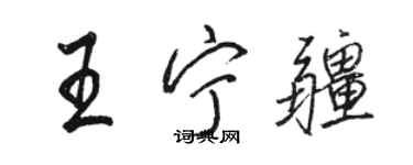 骆恒光王宁疆行书个性签名怎么写