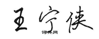骆恒光王宁侠行书个性签名怎么写