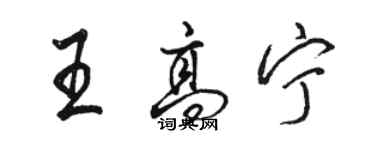 骆恒光王高宁行书个性签名怎么写
