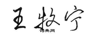 骆恒光王牧宁行书个性签名怎么写