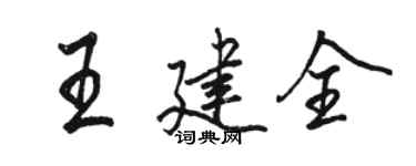 骆恒光王建全行书个性签名怎么写