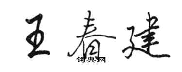骆恒光王春建行书个性签名怎么写