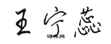 骆恒光王宁蕊行书个性签名怎么写