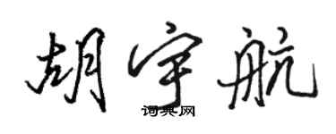 骆恒光胡宇航行书个性签名怎么写
