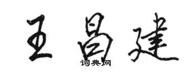骆恒光王昌建行书个性签名怎么写