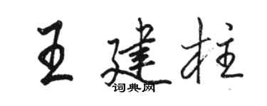 骆恒光王建柱行书个性签名怎么写