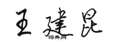 骆恒光王建昆行书个性签名怎么写