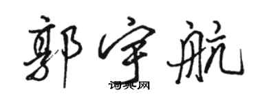骆恒光郭宇航行书个性签名怎么写