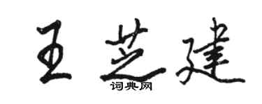 骆恒光王芝建行书个性签名怎么写