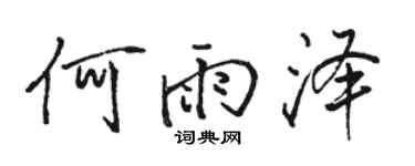 骆恒光何雨泽行书个性签名怎么写