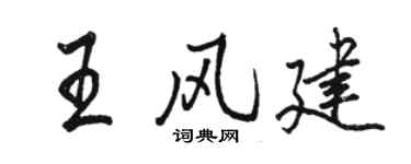 骆恒光王风建行书个性签名怎么写