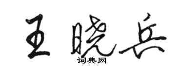 骆恒光王晓兵行书个性签名怎么写