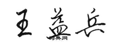 骆恒光王益兵行书个性签名怎么写