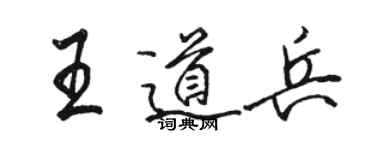 骆恒光王道兵行书个性签名怎么写