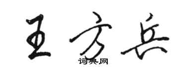 骆恒光王方兵行书个性签名怎么写