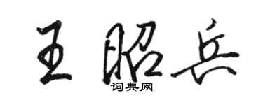 骆恒光王昭兵行书个性签名怎么写