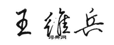 骆恒光王维兵行书个性签名怎么写