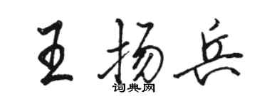 骆恒光王扬兵行书个性签名怎么写