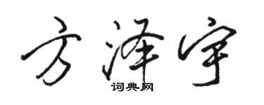 骆恒光方泽宇行书个性签名怎么写