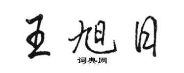 骆恒光王旭日行书个性签名怎么写