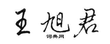 骆恒光王旭君行书个性签名怎么写