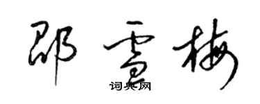 梁锦英邵雪梅草书个性签名怎么写