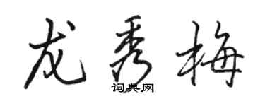骆恒光龙秀梅行书个性签名怎么写