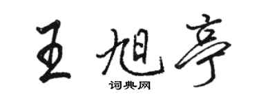 骆恒光王旭亭行书个性签名怎么写