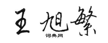 骆恒光王旭繁行书个性签名怎么写